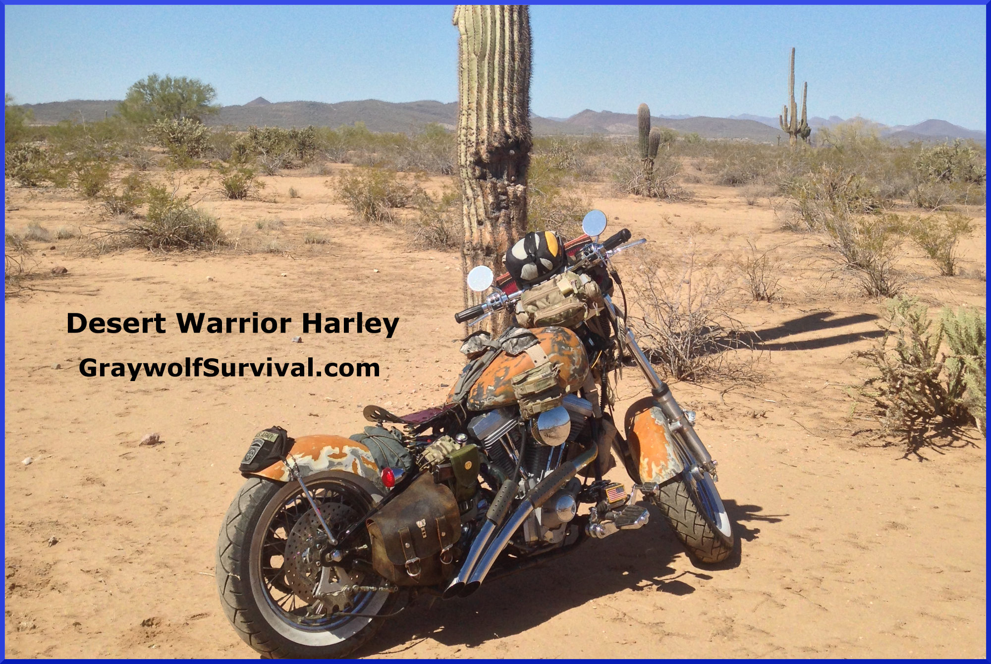 Check Out the Desert Warrior Harley SHTF Motorcycle