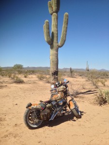 Desert warrior harley motorcycle
