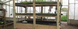 Save money, eat healthier, and be prepared for emergencies with an aquaponics or vertical garden that you can build and use yourself