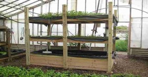 Save money, eat healthier, and be prepared for emergencies with an aquaponics or vertical garden that you can build and use yourself