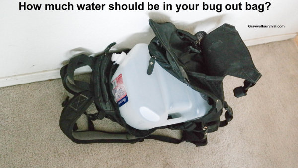How much water should be in your bug out bag