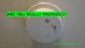 If most people prepare to ensure their survival, then wouldn’t it make sense that you take precautions with things which can immediately impact you first? Then prepare for other possibilities? Are you really prepared? http://graywolfsurvival.com/3660/really-prepared/