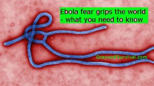 The world news is on fire with reports of infections and death from the Ebola virus, and victims are being brought to the US. What do you need to know? - http://graywolfsurvival.com/?p=3685