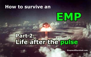 How to survive an EMP attack 2 life after the pulse