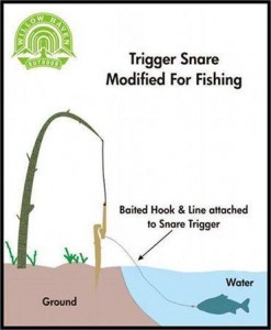 Fishing trigger snare